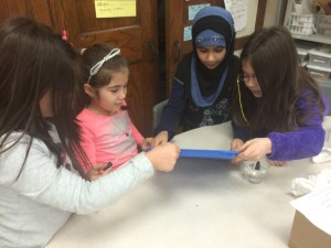 IMG_3006[1]