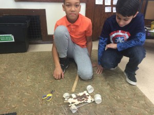 IMG_3104[1]