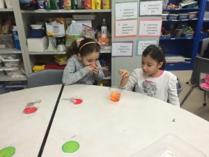 IMG_3156[1]