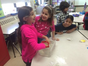 IMG_3269[1]
