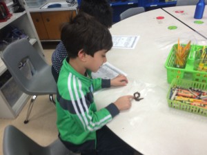 IMG_3273[1]
