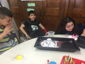 IMG_3390[1]