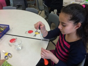 IMG_3456[1]