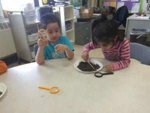 IMG_3459[1]