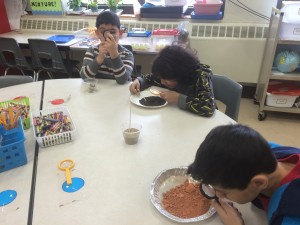 IMG_3600[1]