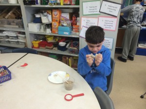 IMG_3613[1]