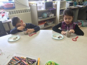 IMG_3617[1]