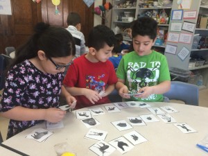 IMG_3632[1]