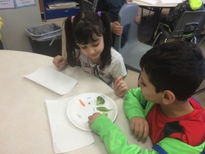 IMG_3635[1]