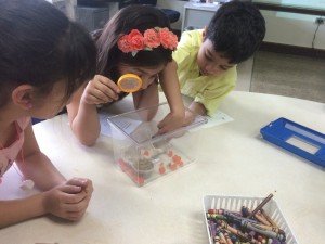 IMG_3693[1]