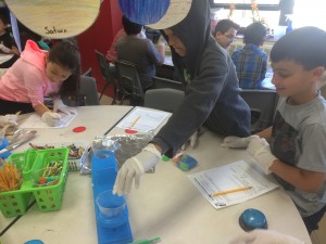IMG_3823[1]