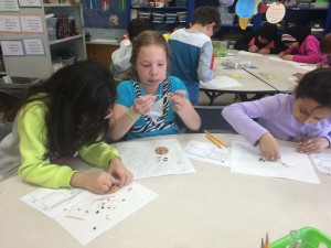 IMG_3833[1]