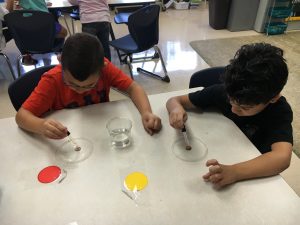 img_44391
