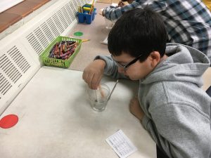 img_51821