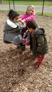 img_20161031_132730473