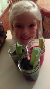 Katherine's got all three colors making the journey up the celery stems!