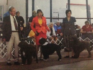 Dog show finalist!