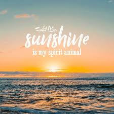 Sunshine | Beach quotes, Sunshine quotes, Sea quotes