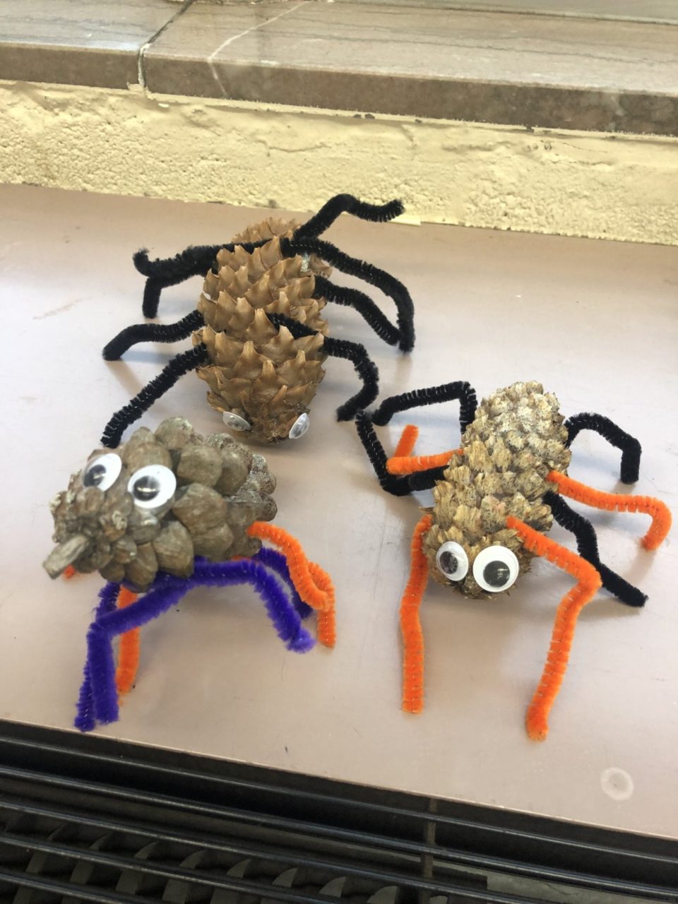 pine cone spiders