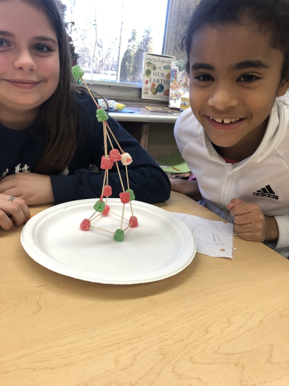 Sugar plum STEM
