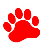 Big-Paw1.jpg