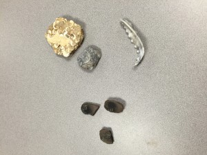 Fossils
