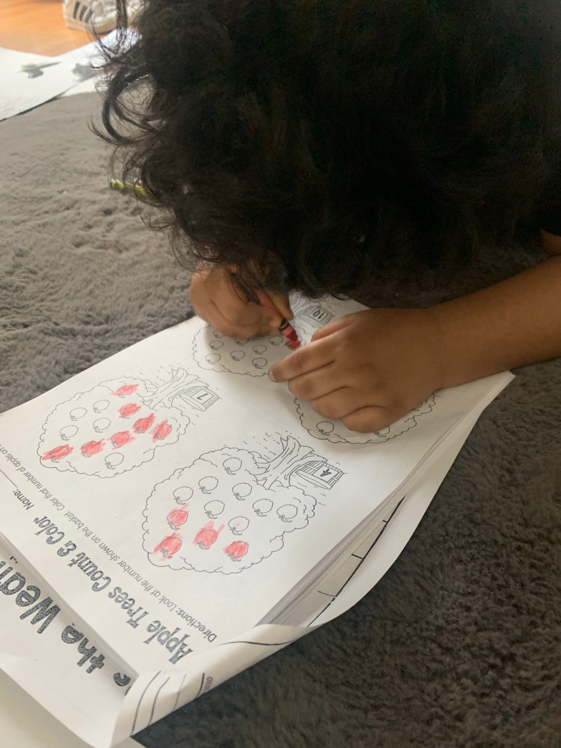 Nadia homework image