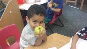 apple-invest-5
