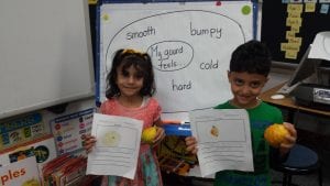 Here is the finished product! The children illustrated and write one fact about their gourd. Behind them is the circle map we created.