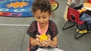 We used our senses of sight and touch to explore gourds. We brainstormed a list of words on a circle map to describe how our gourds felt.