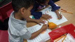 We illustrated our gourds like "scientists" paying attention to detail before writing a fact about our gourds.