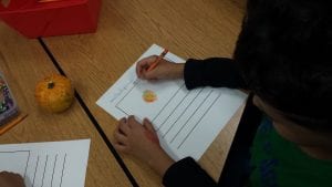We illustrated our gourds like "scientists" paying attention to detail before writing a fact about our gourds.