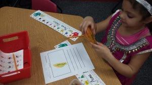 We illustrated our gourds like "scientists" paying attention to detail before writing a fact about our gourds.