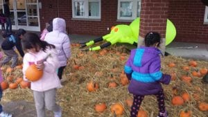 We had a pumpkin patch at Miller School!