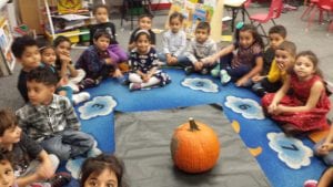 The beginning of the pumpkin investigation!
