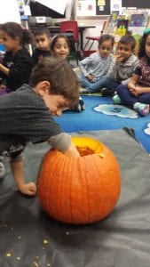 We are investigating...What is inside of our pumpkin?...