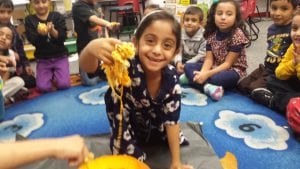 We are investigating...What is inside of our pumpkin?...