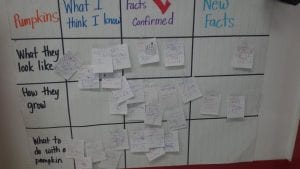 We created a RAN Chart as we read an non-fiction book about Pumpkins!