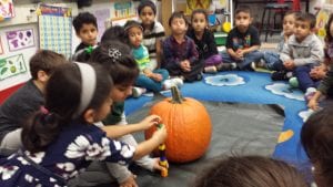 Using non-standard measurement to measure the height of the pumpkin in cubes.