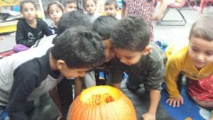 We are investigating...What is inside of our pumpkin?...