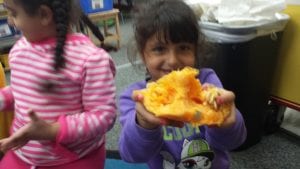 We are investigating...What is inside of our pumpkin?...