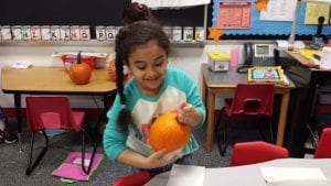 We cleaned our pumpkins to prepare them for painting!