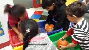 We are washing pumpkins to remove any soil before painting.