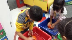 We are washing pumpkins to remove any soil before painting.