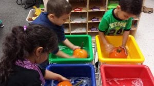 We are washing pumpkins to remove any soil before painting.