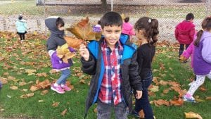 We looked for BIG leaves!