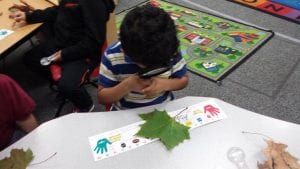 We investigated leaves of different shapes and colors using magnifying lenses. We talked about their similarities and differences. 