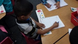 We are writing our opinions!