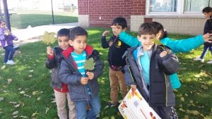 We went on a leaf hunt!!!