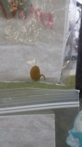 Our seeds are starting to sprout new life!